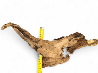 Twisted light brown driftwood with a rough, gnarled texture and an opening, positioned with a yellow tape.