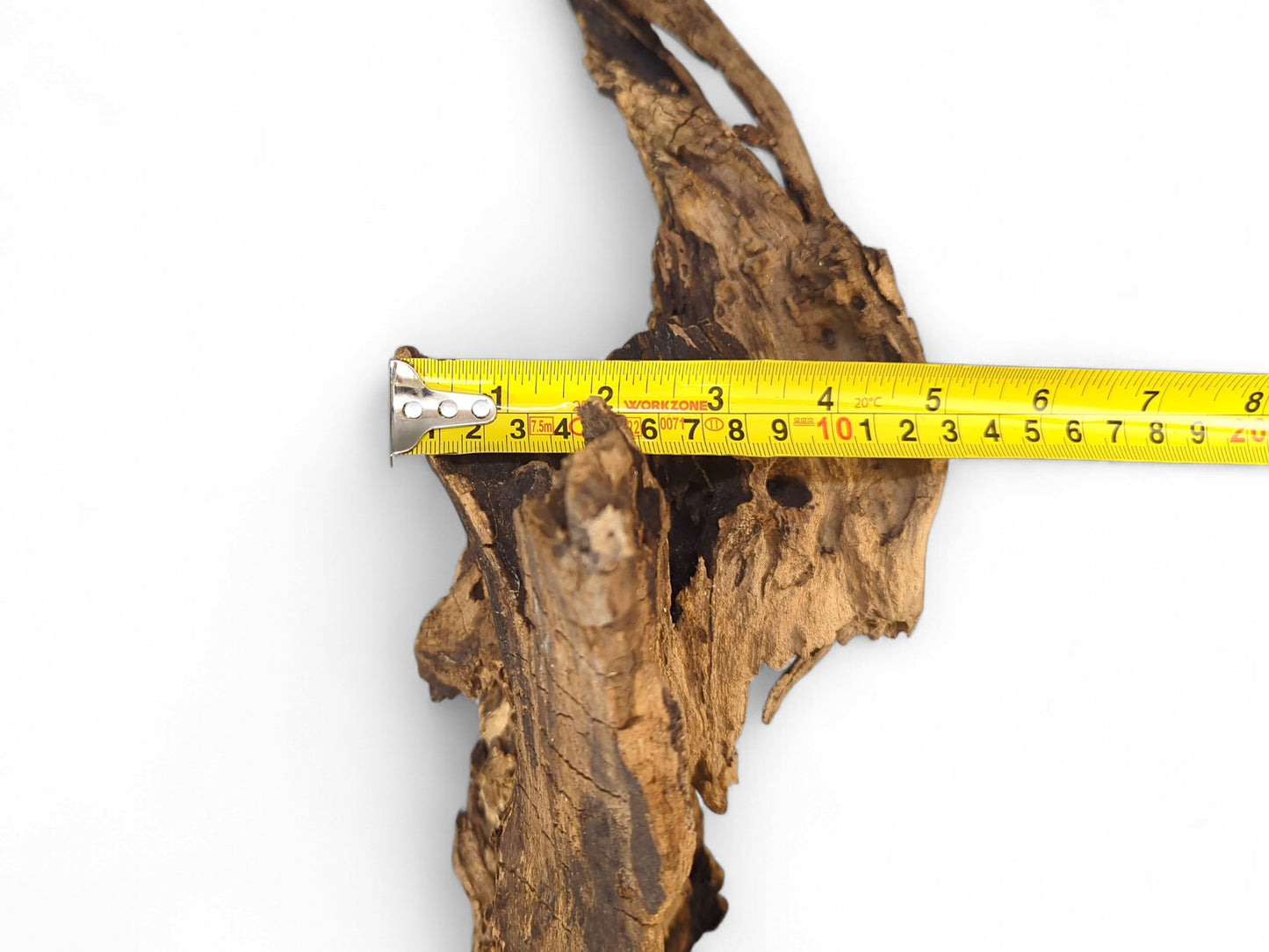 Irregularly shaped, dark brown driftwood displaying a rough, cracked texture, measured by a yellow measuring tape.