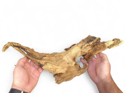 Hands hold an elongated, light brown, weathered driftwood form with intricate texture and curved lines.