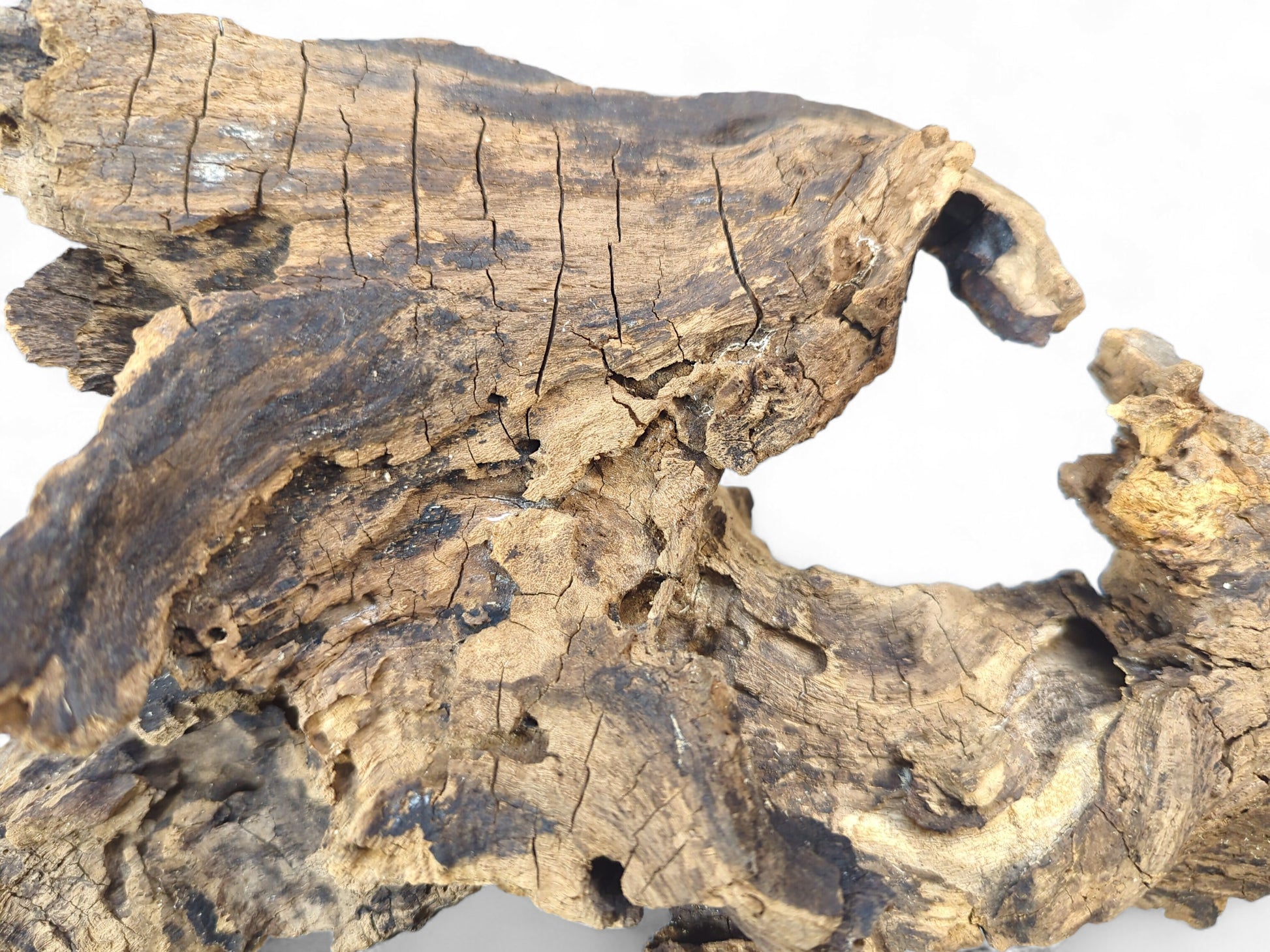 Close-up of a gnarled, deeply weathered driftwood fragment, displaying varied brown colors, profound cracks, and rough texture.