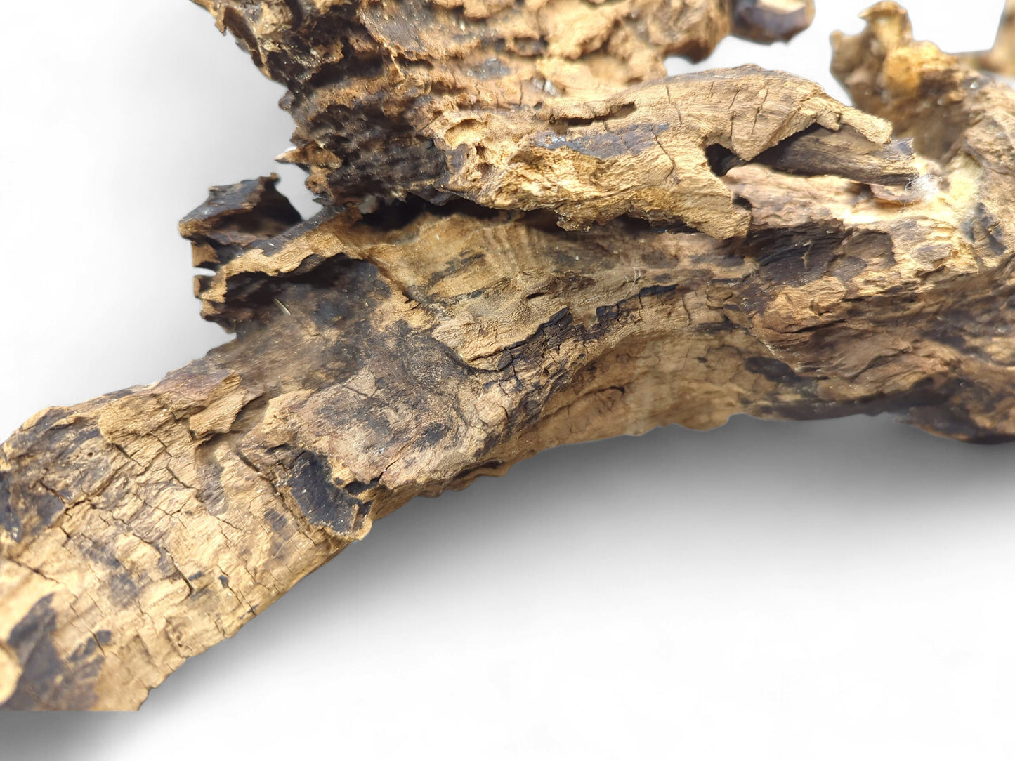 A wood fragment with a convoluted shape, showing multiple brown tones and an extensively fractured exterior.