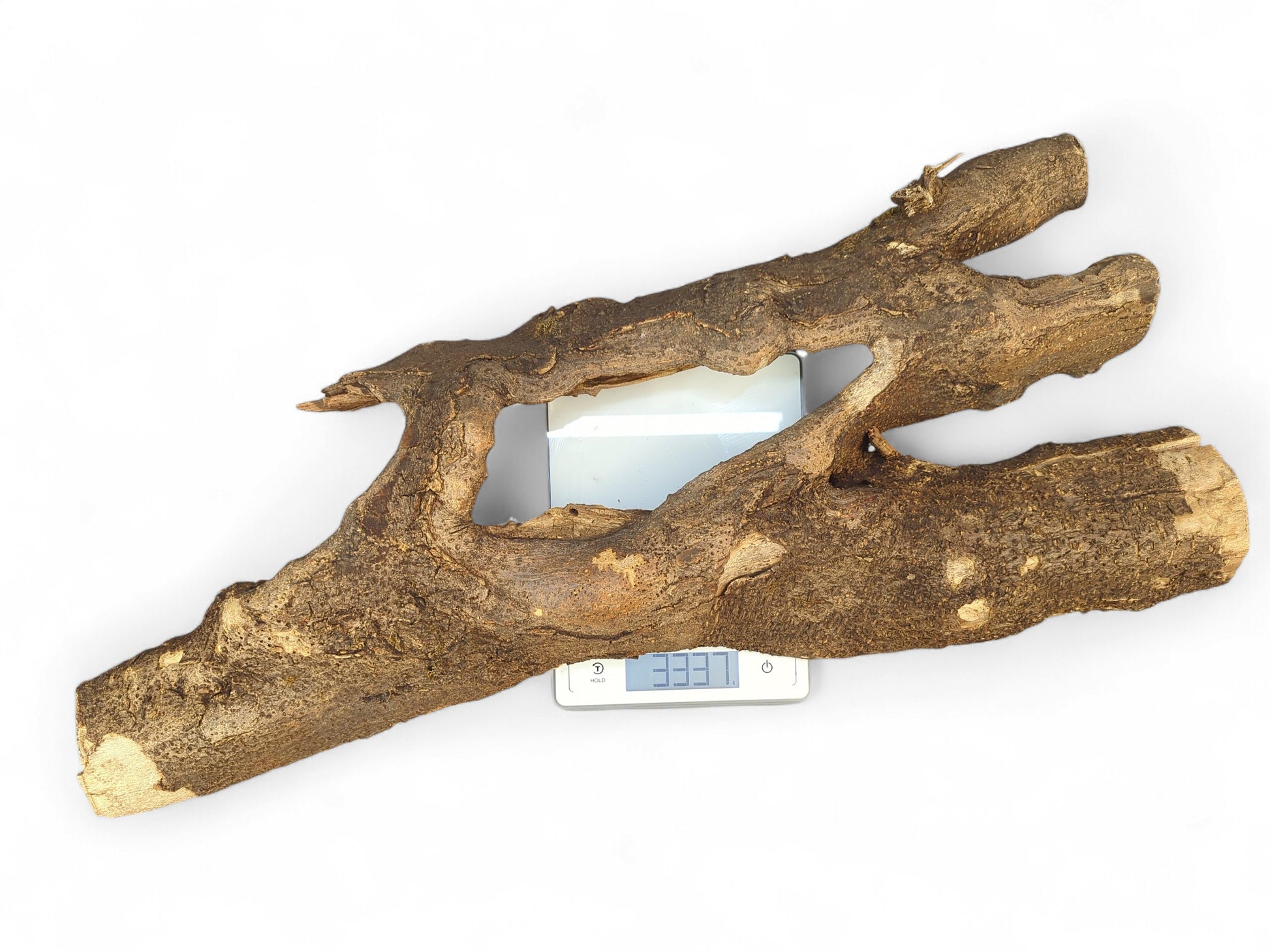 Gnarled, dark brown driftwood with rough bark and irregular openings on a digital scale displaying 3337.