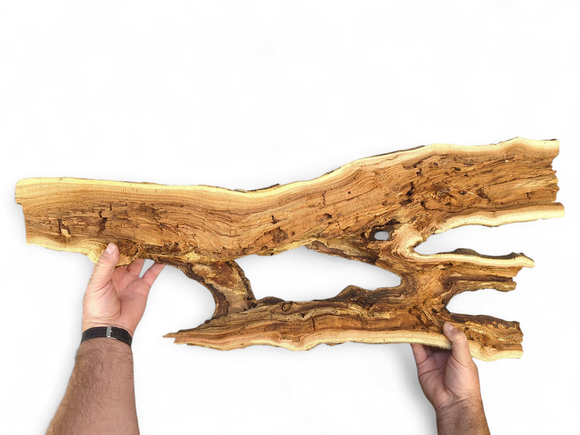 Two hands hold an elongated, bark-edged driftwood piece with exposed light brown raw grain and organic openings.