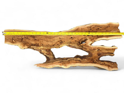 Long, flat, light brown wood piece with detailed grain, several irregular openings, and a yellow measuring tape.