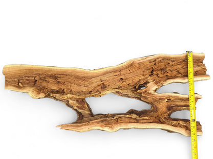 A rough, light brown driftwood piece showing visible grain, multiple irregular openings, and a yellow measuring tape.