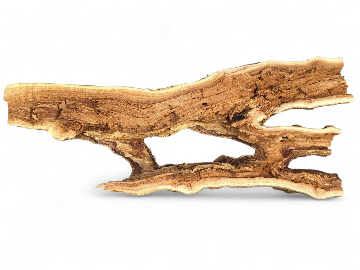 Natural driftwood sculpture, a bark-edged split log with twin natural openings and visible raw light brown grain.