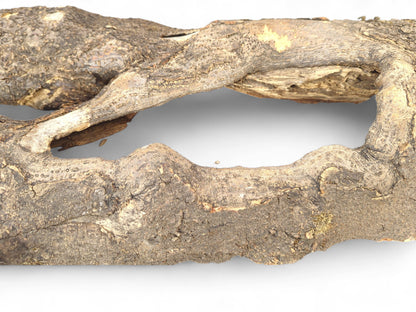 Driftwood piece with a rough bark texture, featuring two irregular openings and exposed light grain.