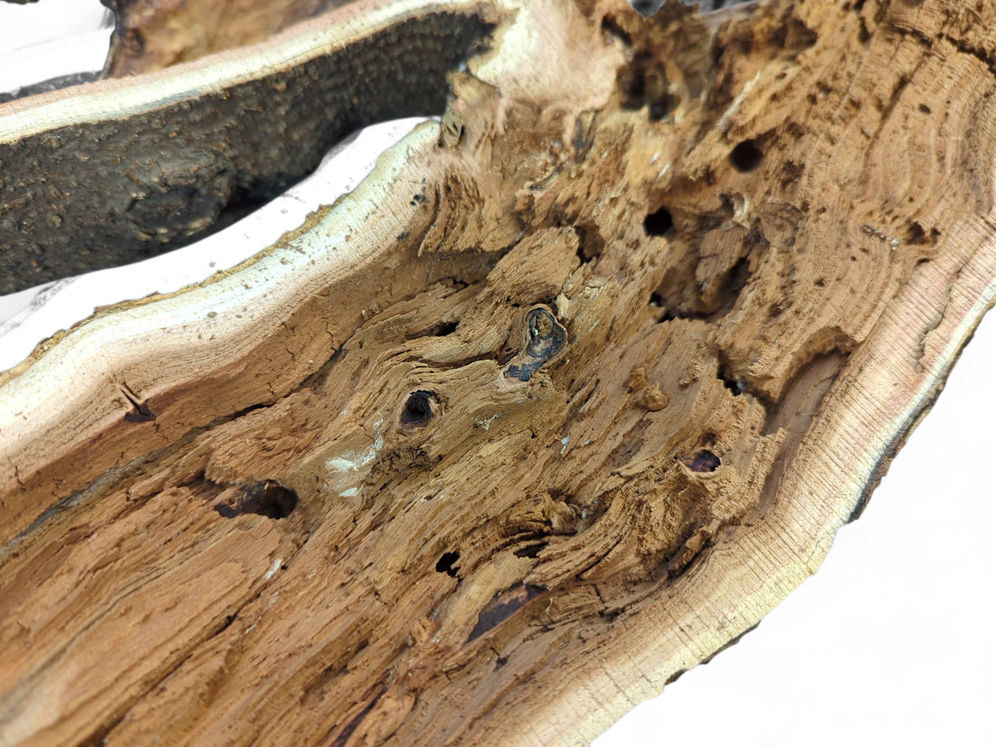Organic split log shows light brown raw interior grain with visible rings, bark edges, and multiple openings.