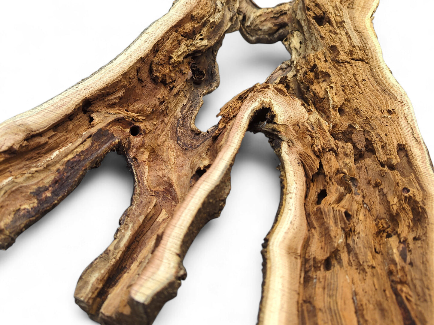 Brown driftwood log featuring two main irregular openings, bark-like edges, and exposed fibrous grain.