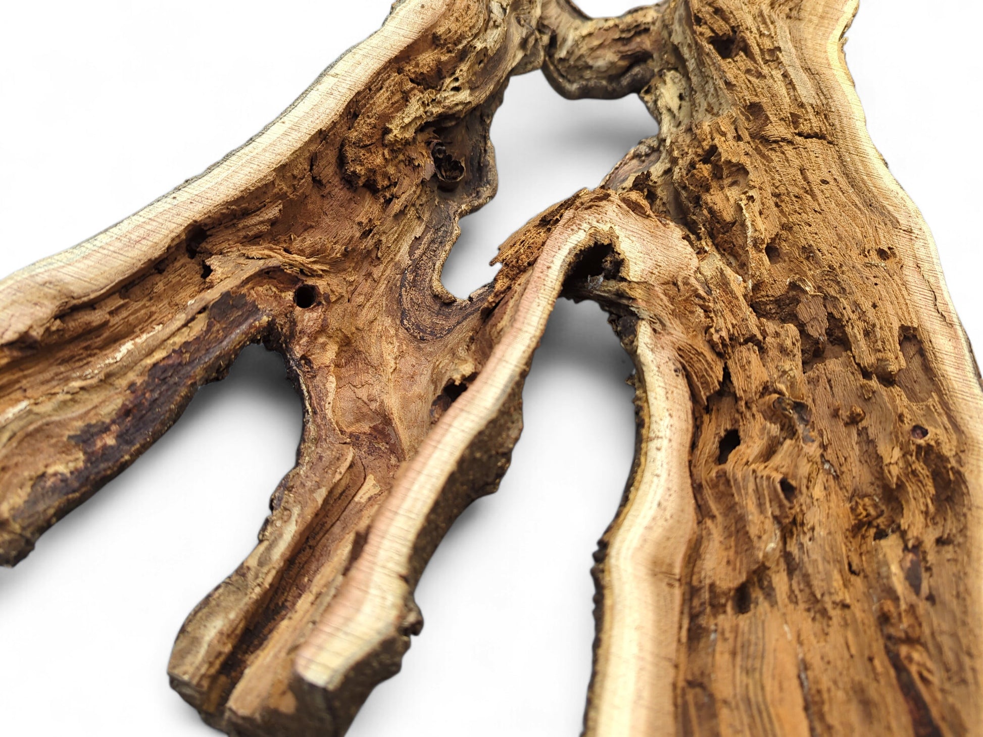 Brown driftwood log featuring two main irregular openings, bark-like edges, and exposed fibrous grain.