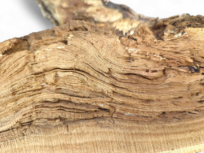 Light brown, exposed driftwood grain revealing wavy, fibrous layers and a naturally rough texture.