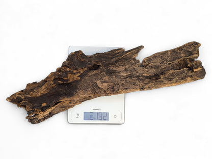 An irregularly shaped, dark brown, gnarled wood piece rests on a digital scale showing 2.192.