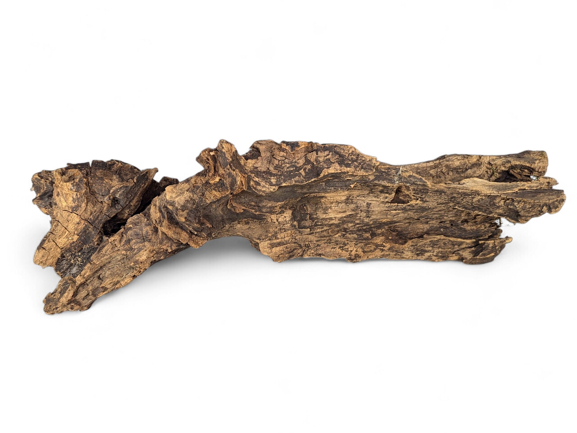 Weathered dark brown and tan driftwood root, featuring deep grooves and a rough, gnarled texture.