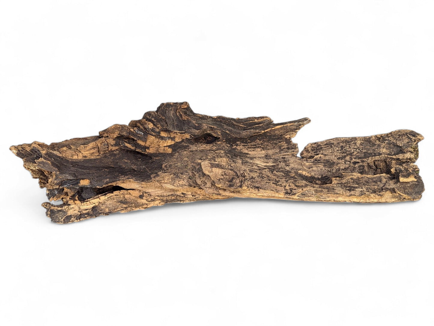 Irregularly shaped dark brown driftwood with a gnarled, weathered texture against a white backdrop.