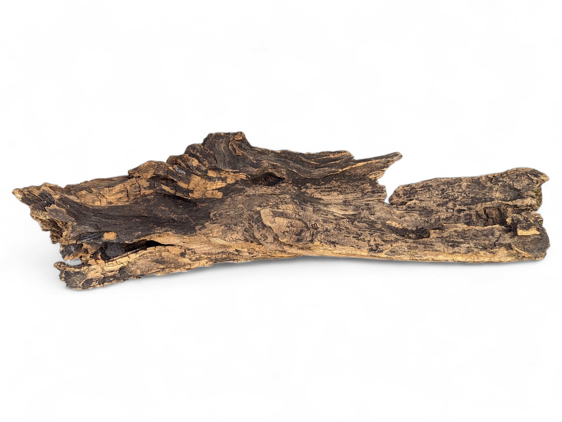 Irregularly shaped dark brown driftwood with a gnarled, weathered texture against a white backdrop.