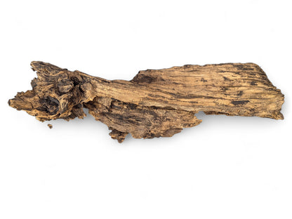 Natural weathered root slice, elongated and dark brown, with intricate gnarled texture on a white background.