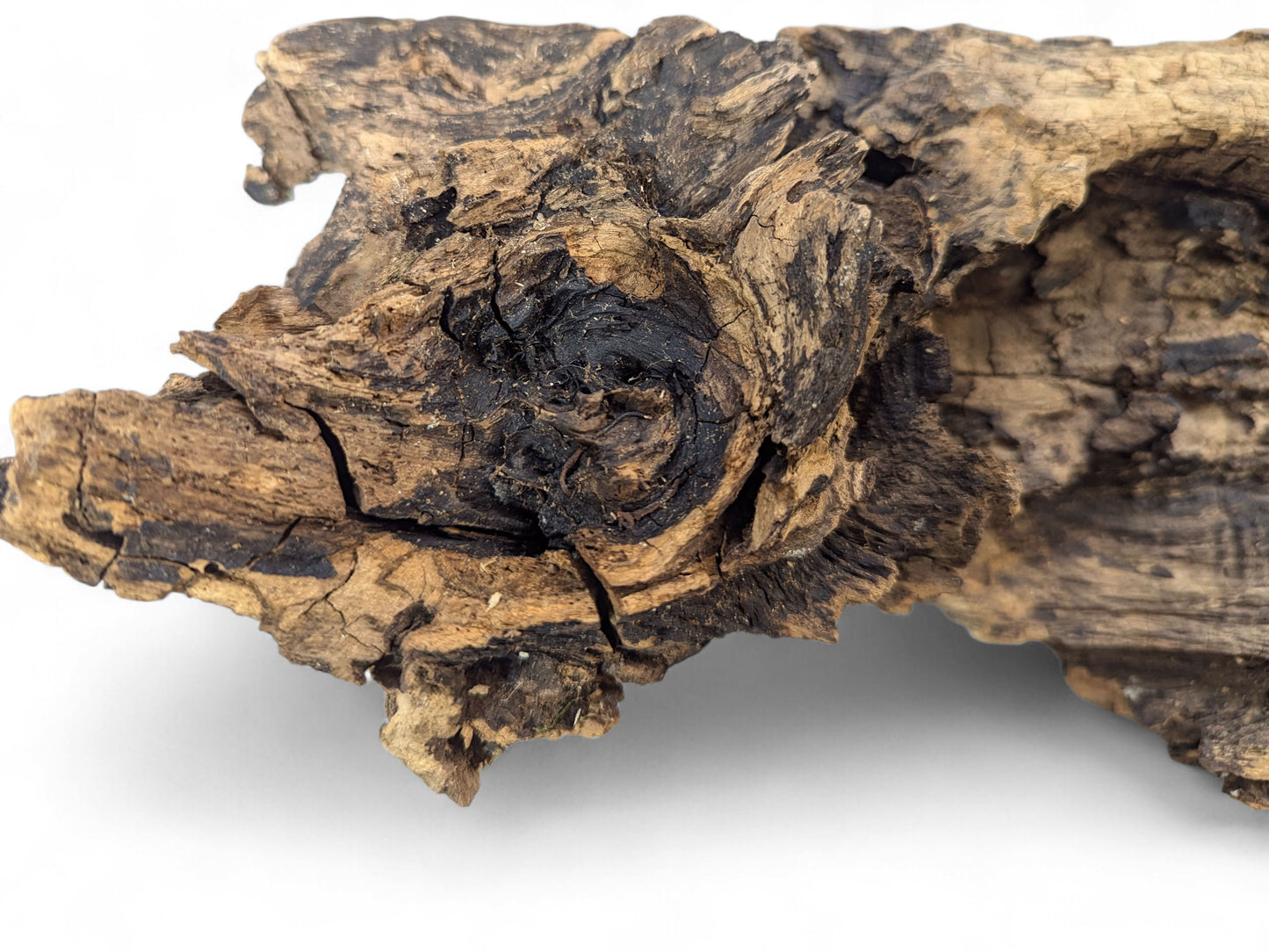 Jagged piece of light and dark brown weathered wood with deep cracks and intricate textures.