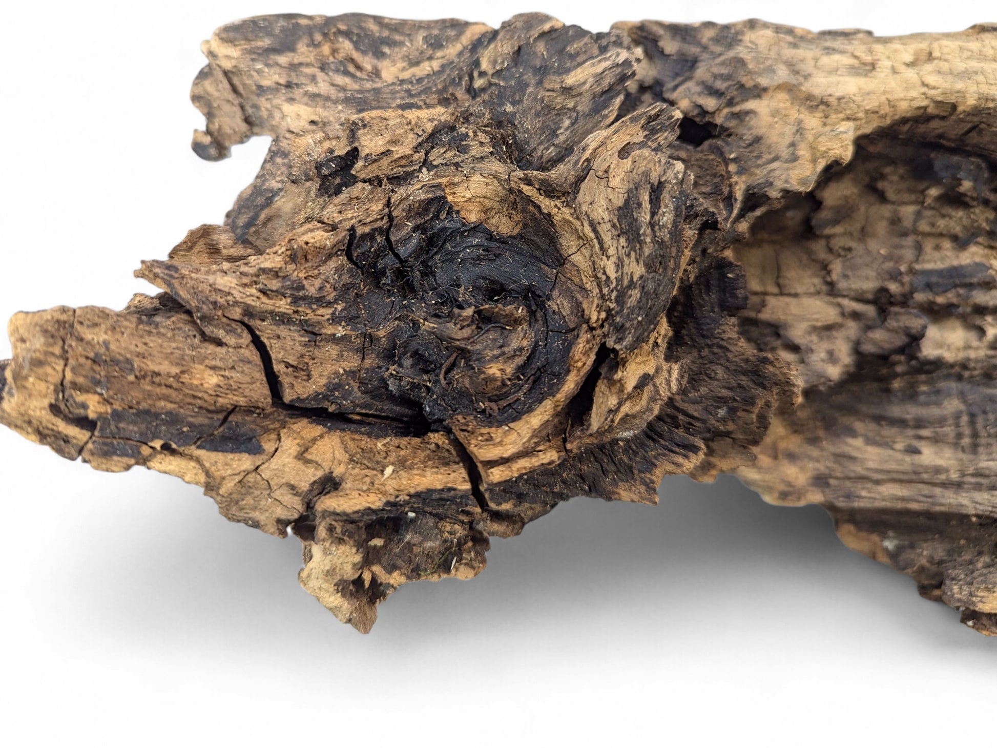 Jagged piece of light and dark brown weathered wood with deep cracks and intricate textures.