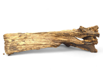 Elongated piece of golden-brown weathered driftwood featuring deep grooves, rough texture, and dark accents on white.