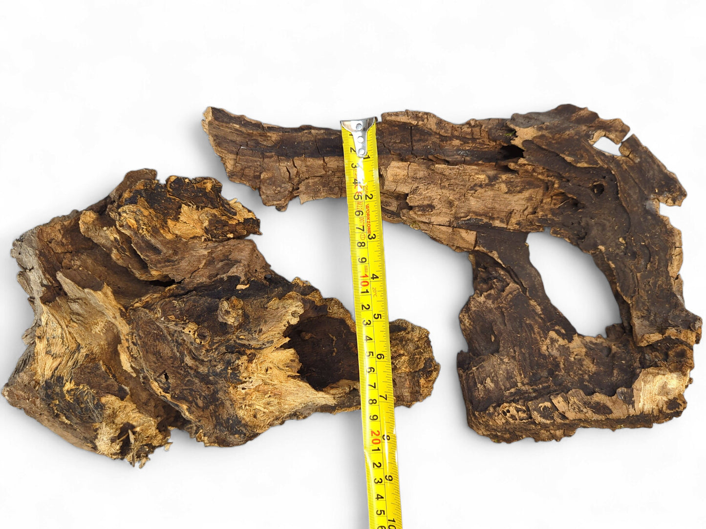 Dark, hollow driftwood pieces with rough bark and visible grain, vertically measured by yellow tape.