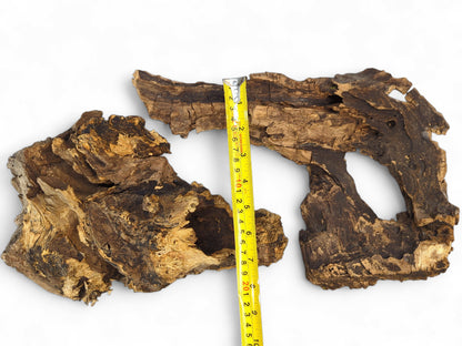 Dark, hollow driftwood pieces with rough bark and visible grain, vertically measured by yellow tape.