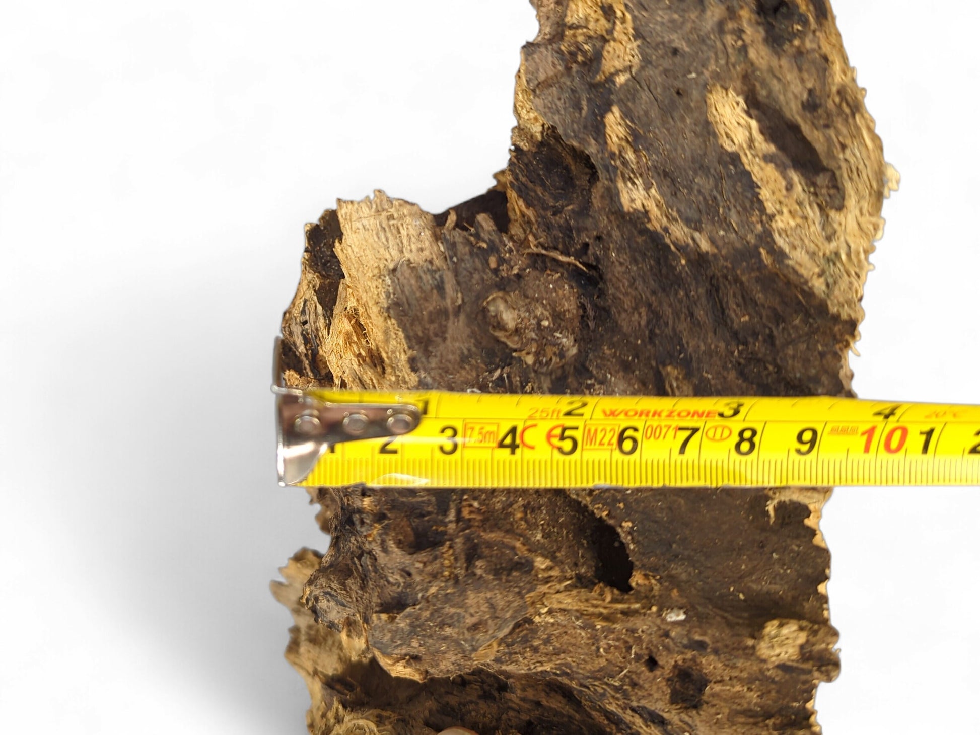 A dark, hollow driftwood piece with rough bark and exposed lighter grain, measured horizontally by a yellow tape.