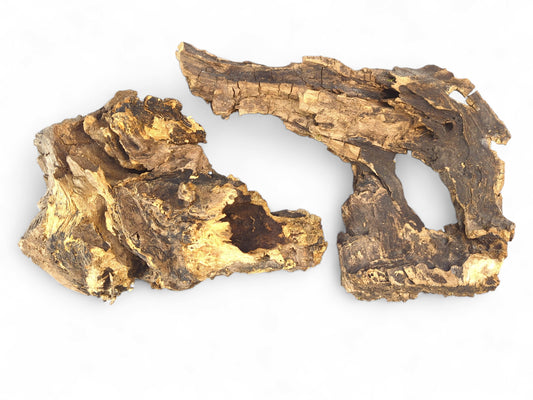 Two irregular pieces of dark brown and golden-brown hollow driftwood with rough bark texture and exposed grain.