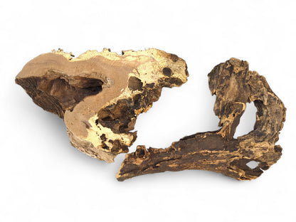 A pair of irregular, hollow driftwood pieces with dark bark and golden exposed grain.