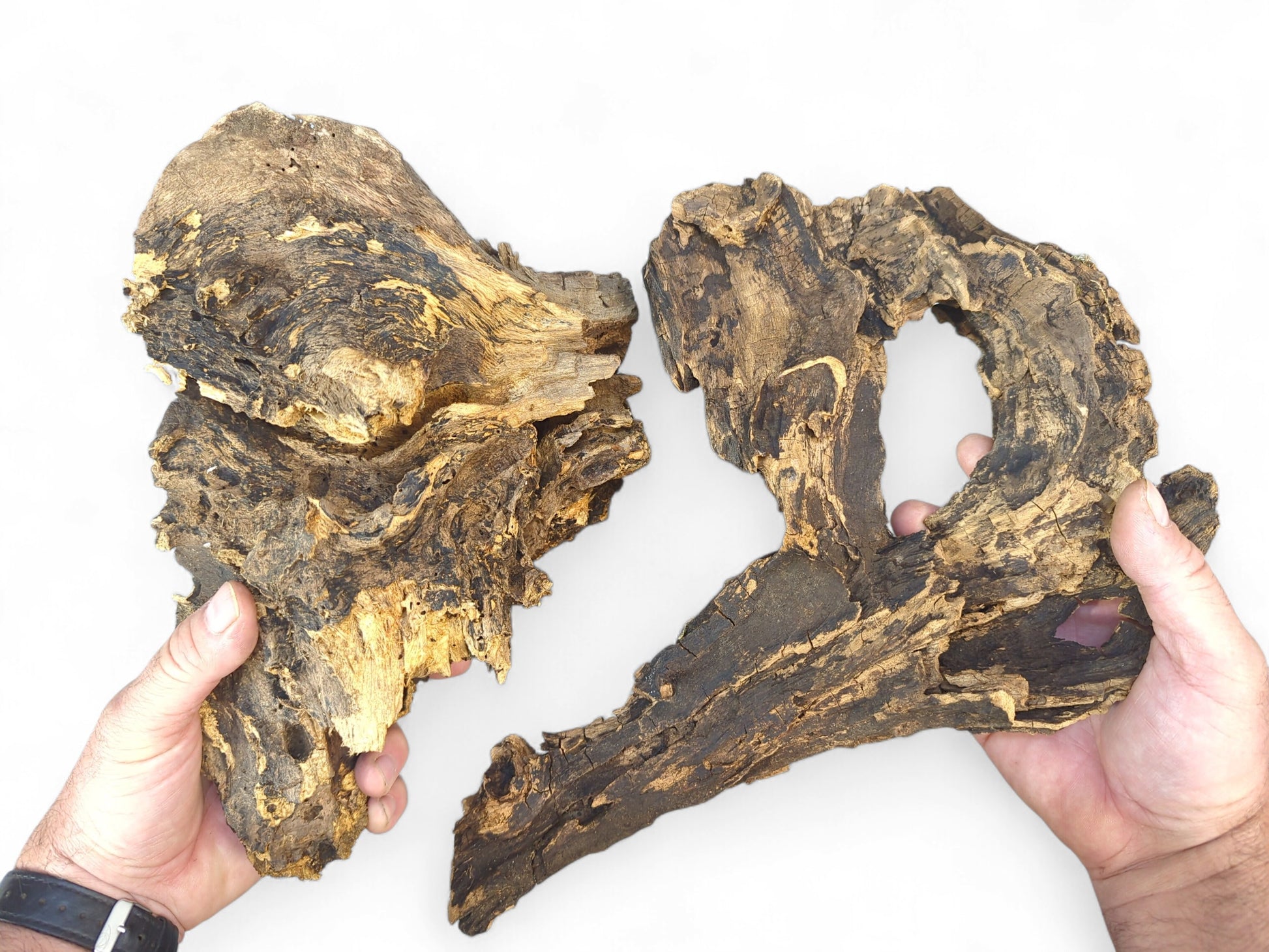 Gnarled, hollow driftwood pieces in dark and golden-brown, featuring rough bark texture and exposed grain.