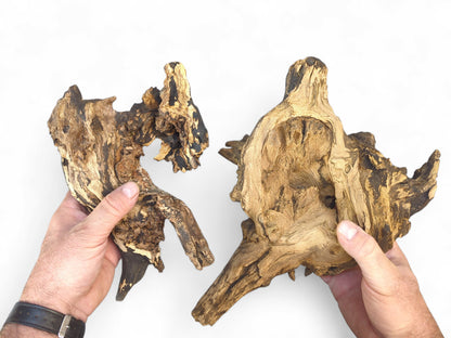 Hands holding two organic, high-contrast charred driftwood pieces with light and dark brown textured grain.
