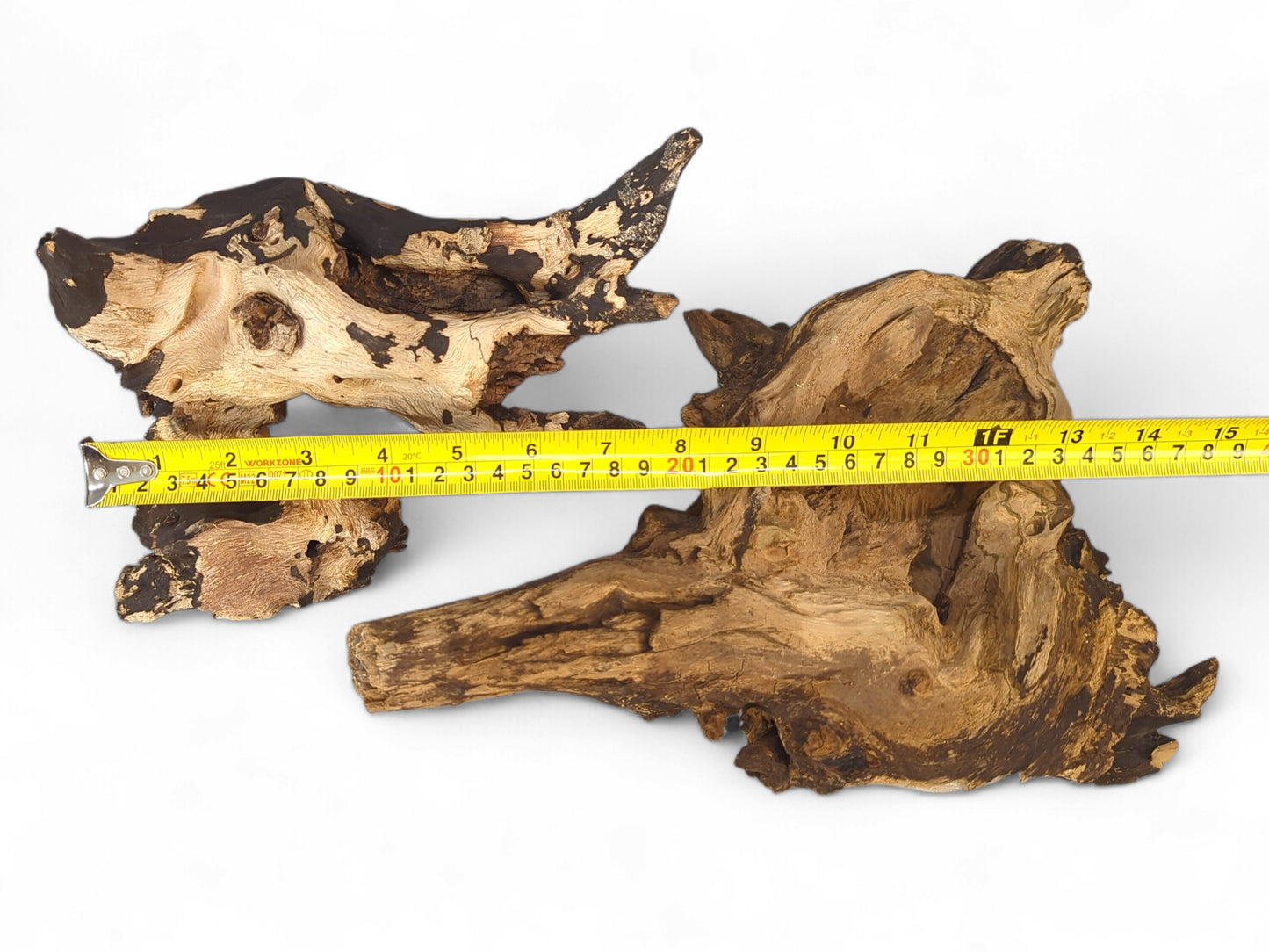Two gnarled charred driftwood pieces, one blonde with dark char, one dark brown, with a measuring tape.