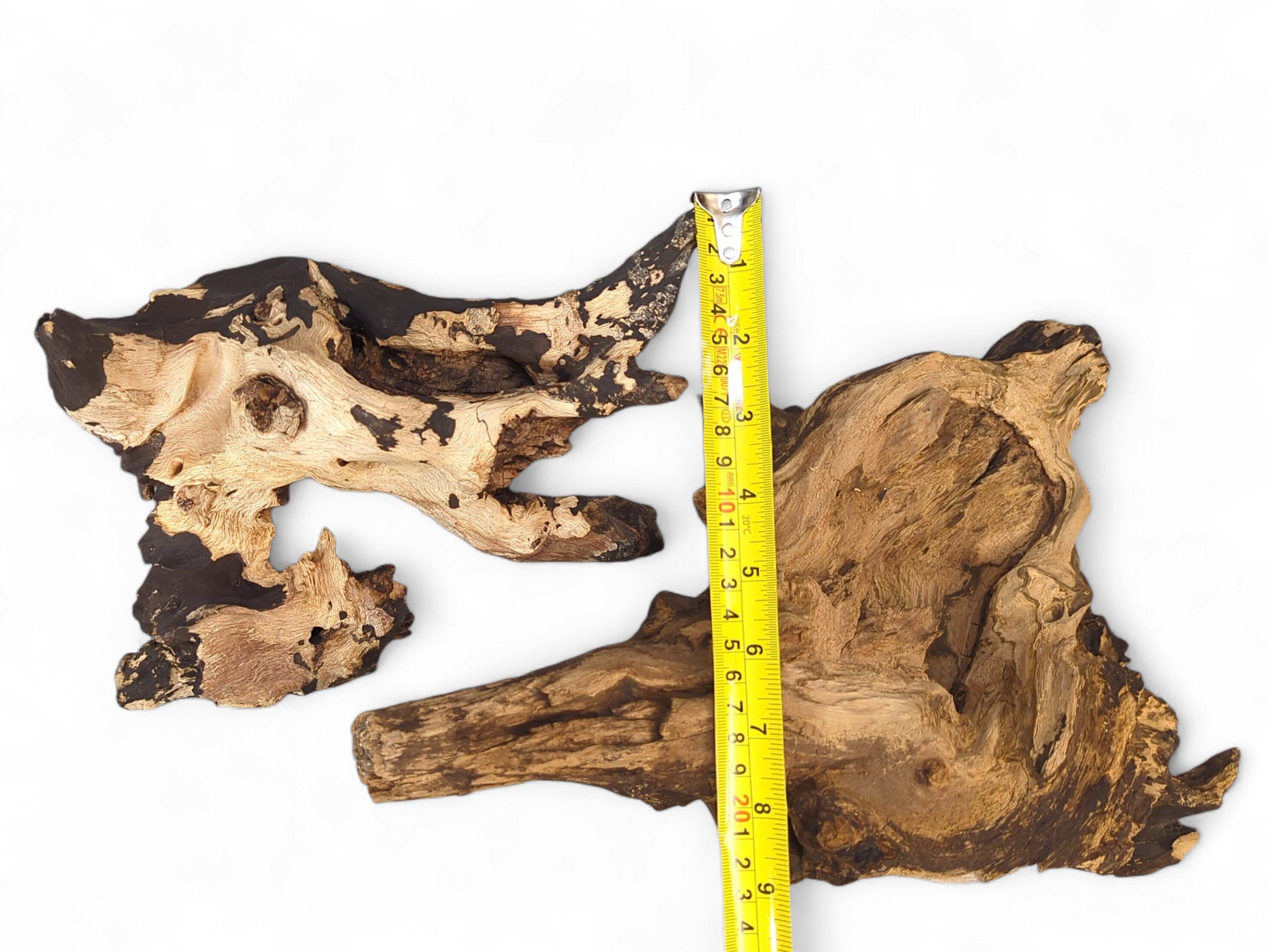 Various charred driftwood pieces: one light with black char, one textured brown, with a yellow measuring tape.