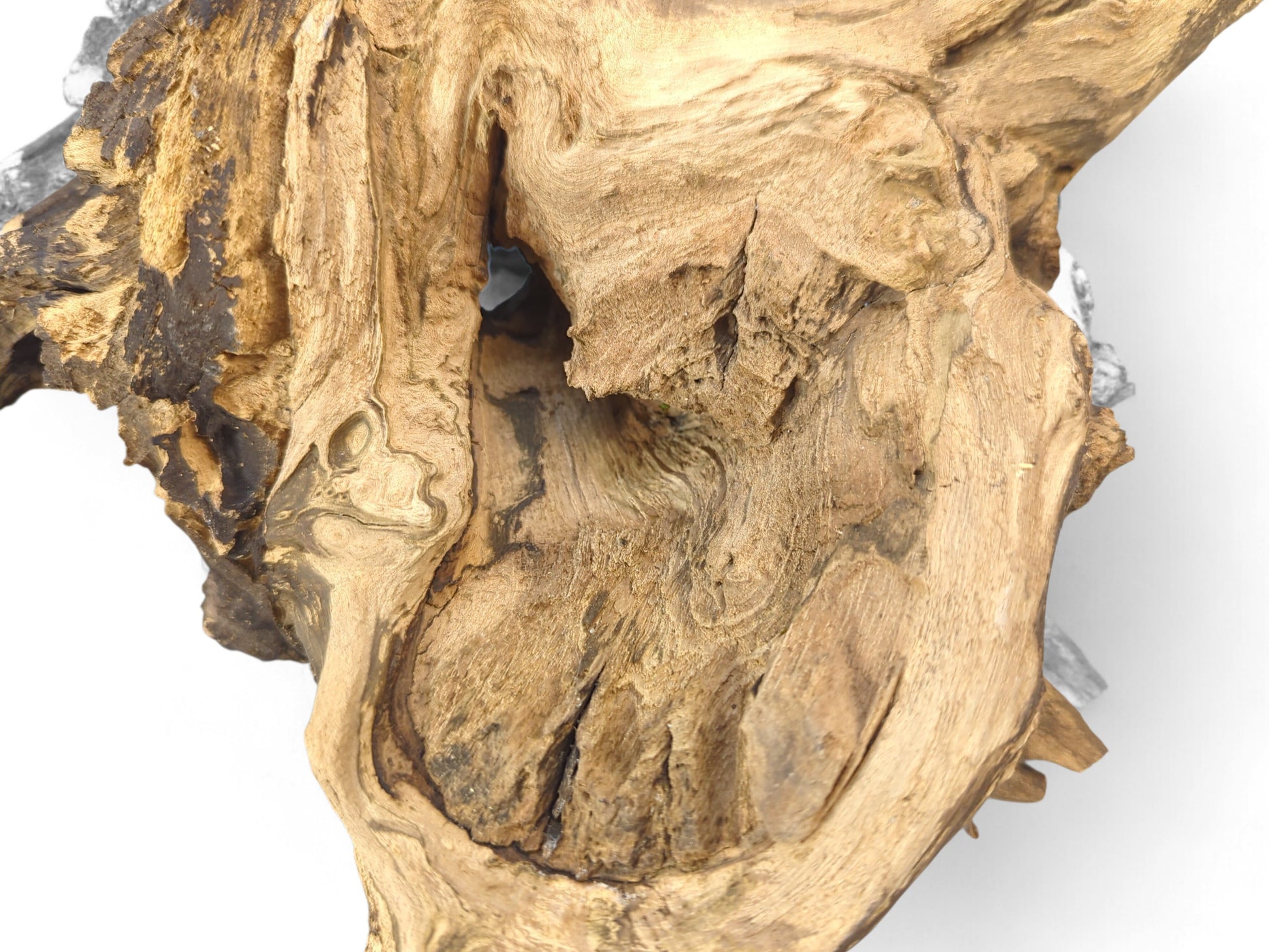 Gnarled blonde and dark brown charred driftwood close-up, showing natural textures, high-contrast grain, and a central cavity.