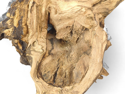 Gnarled blonde and dark brown charred driftwood close-up, showing natural textures, high-contrast grain, and a central cavity.