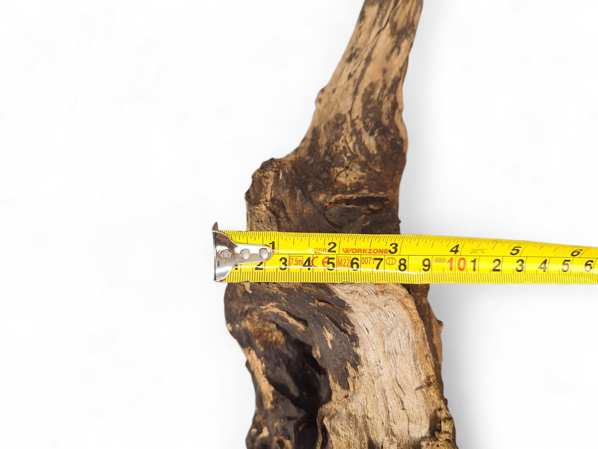 A gnarled, textured piece of dark brown and blonde wood with a yellow measuring tape.