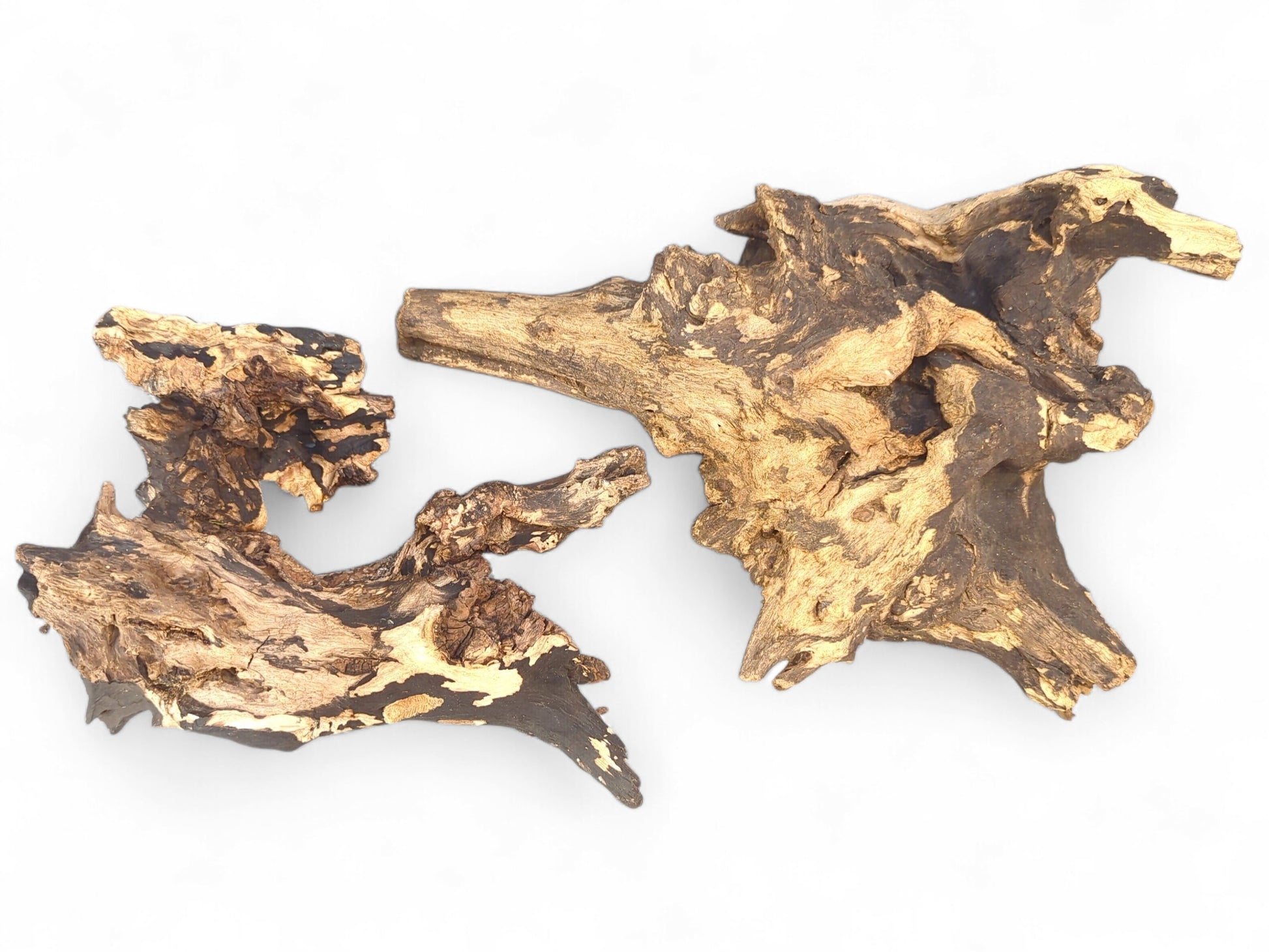 Two natural charred driftwood pieces displaying high-contrast light and dark brown organic shapes with textured grain.