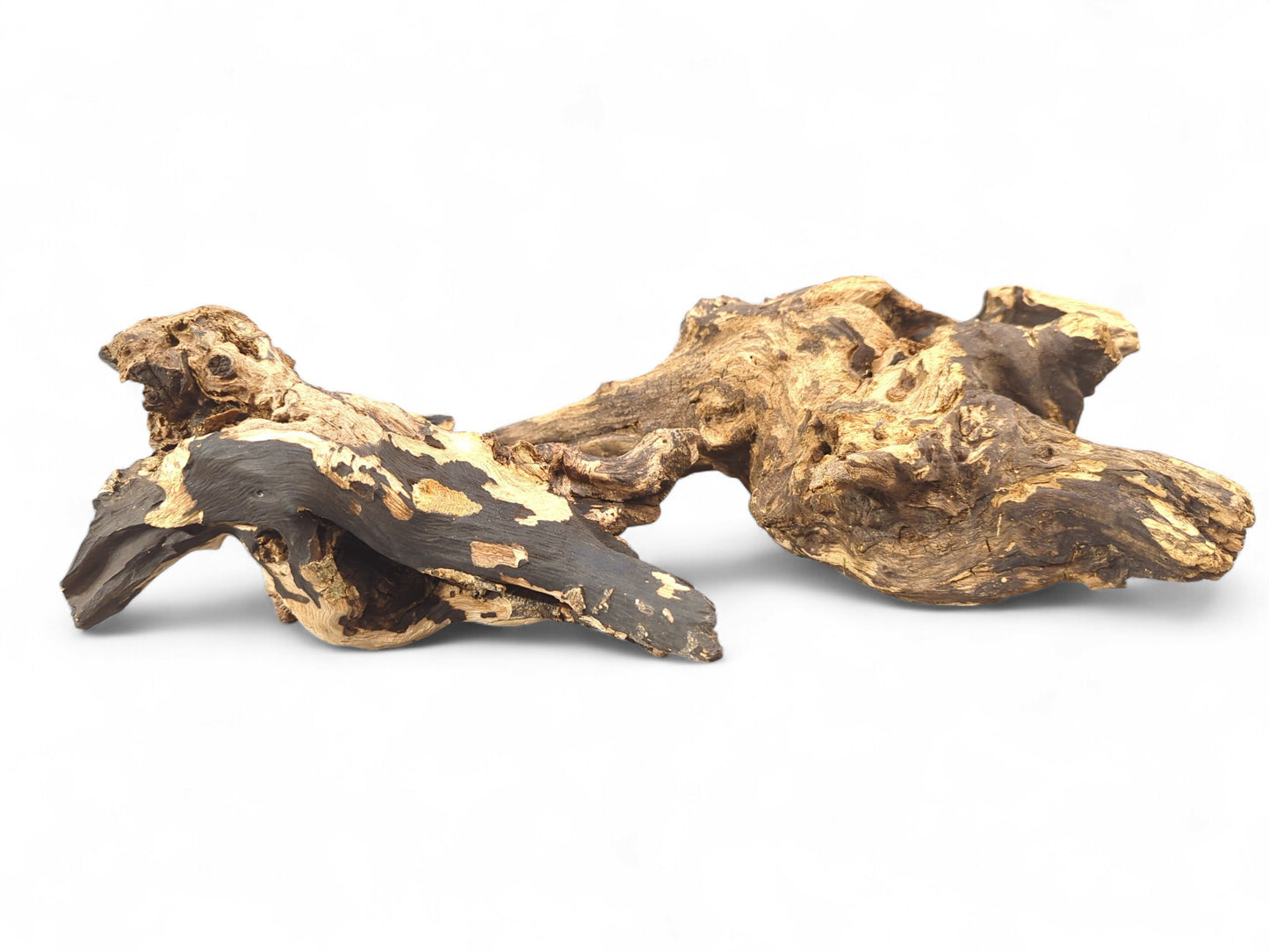 One gnarled piece of charred driftwood shows high-contrast dark brown and blonde, textured wood grain.