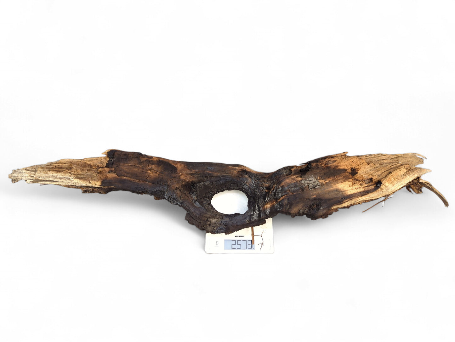 Weathered, dark brown driftwood with burnt areas and a central hole, on a scale showing 2.573.