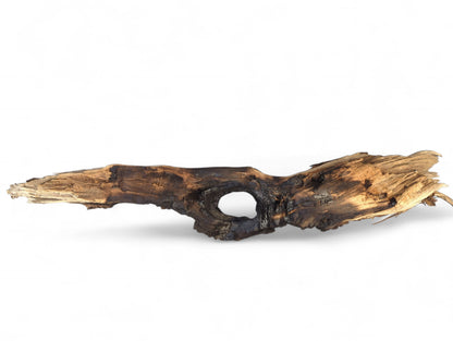 Burnt, holed piece of dark brown driftwood with weathered, rough texture against a white background.