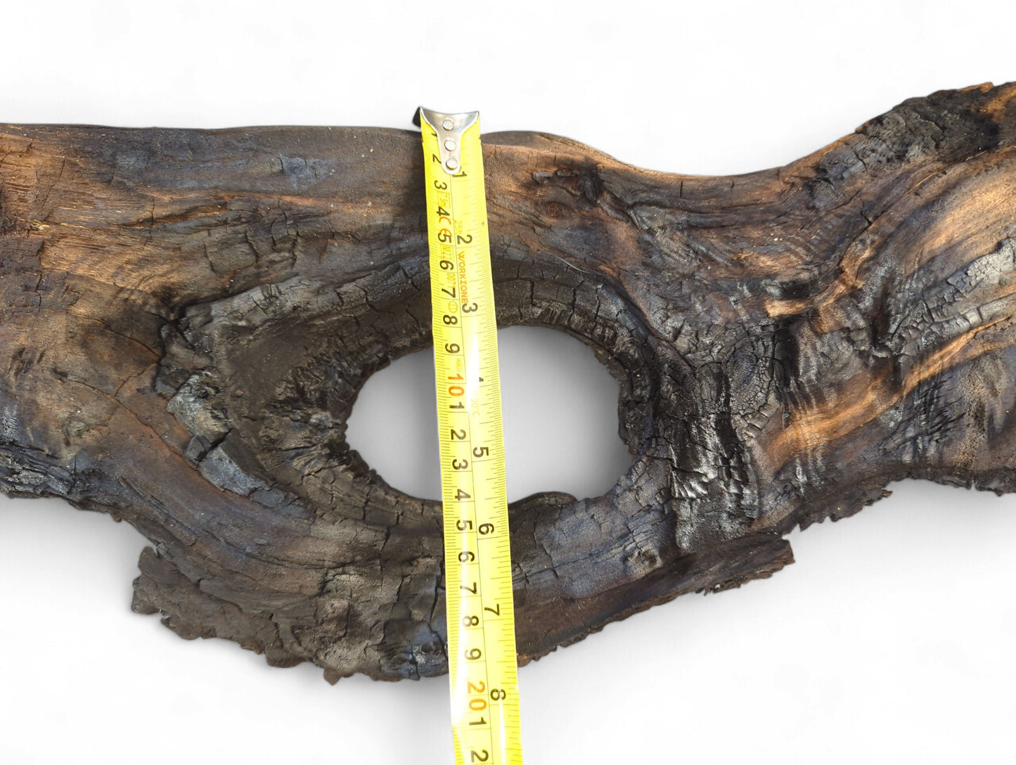 Gnarled, dark brown burnt driftwood with a large central hole, measured by a yellow tape.