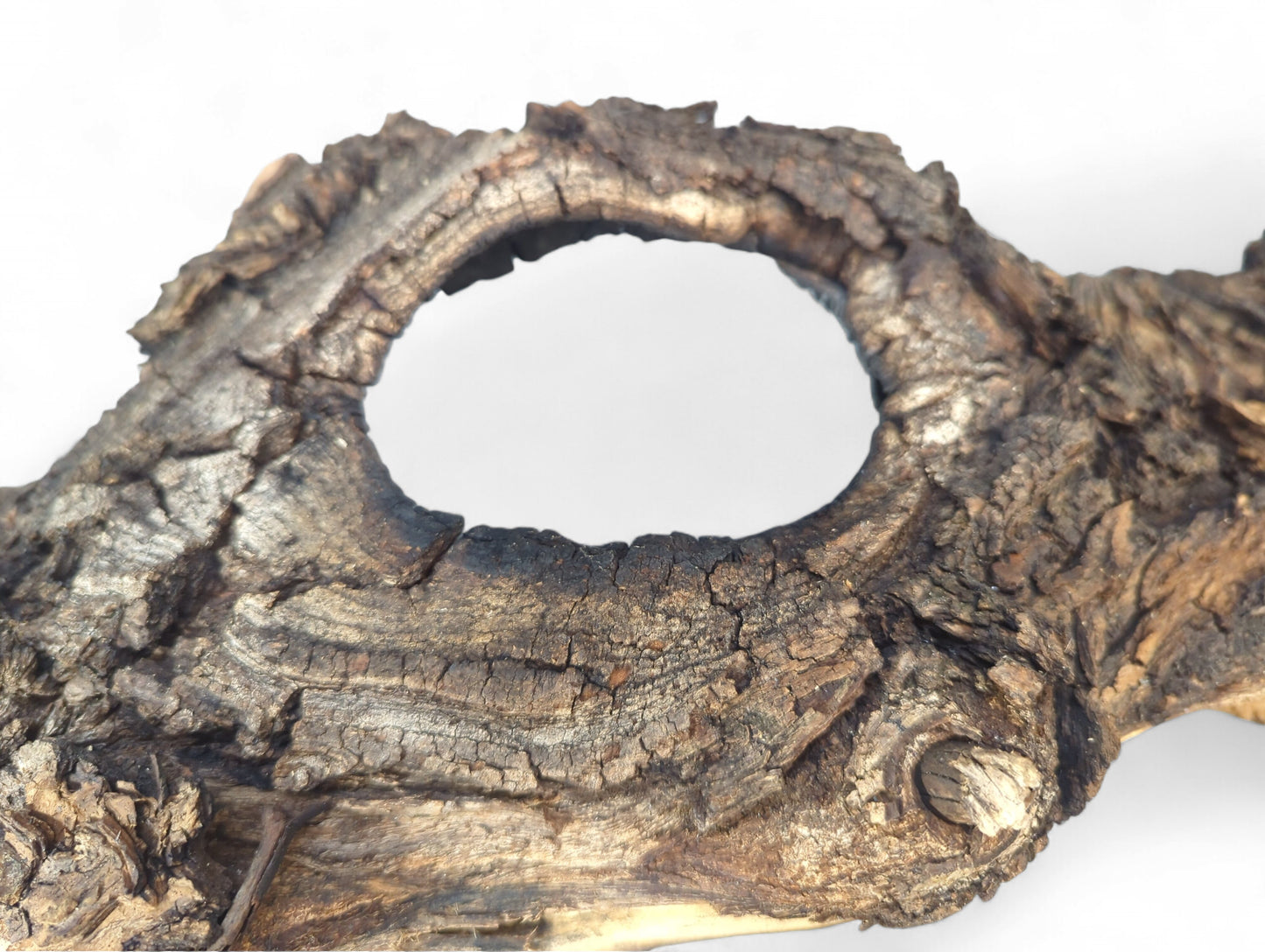 Weathered, dark brown driftwood featuring a prominent oval hole and very rough, gnarled texture on white.