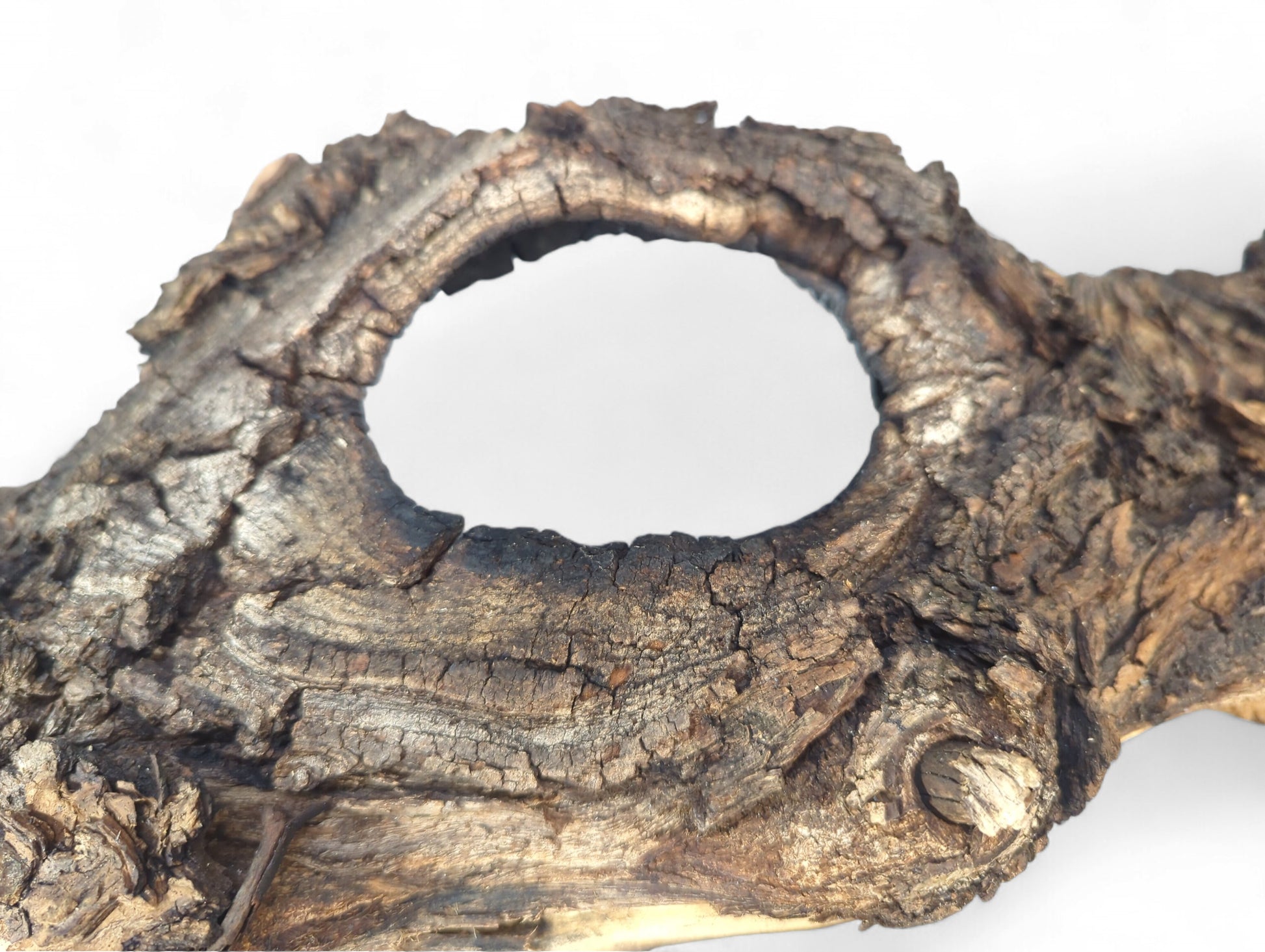 Weathered, dark brown driftwood featuring a prominent oval hole and very rough, gnarled texture on white.