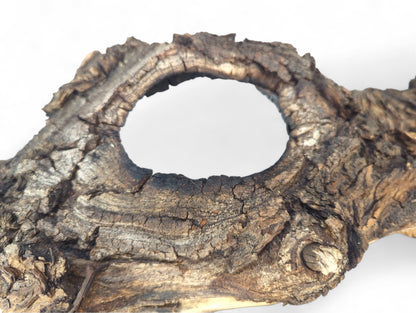 Weathered, dark brown driftwood featuring a prominent oval hole and very rough, gnarled texture on white.