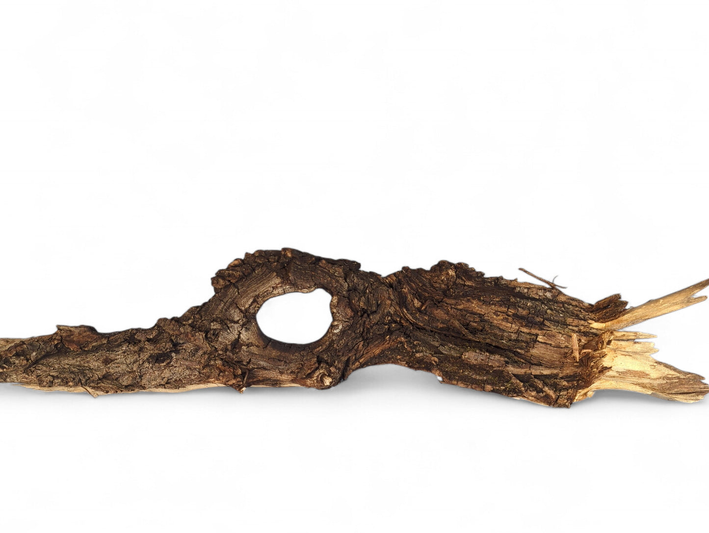 Dark brown, gnarled driftwood with a prominent central hole and rough, textured surface on a white background.