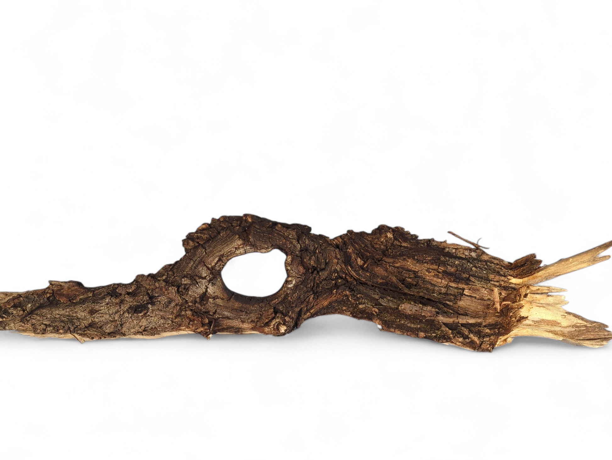 Dark brown, gnarled driftwood with a prominent central hole and rough, textured surface on a white background.