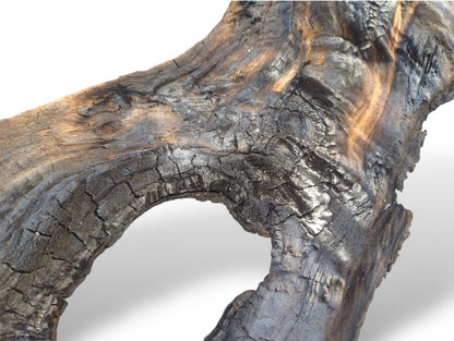 Close-up of a gnarled piece of dark, burnt driftwood with a prominent central hole and rough texture.