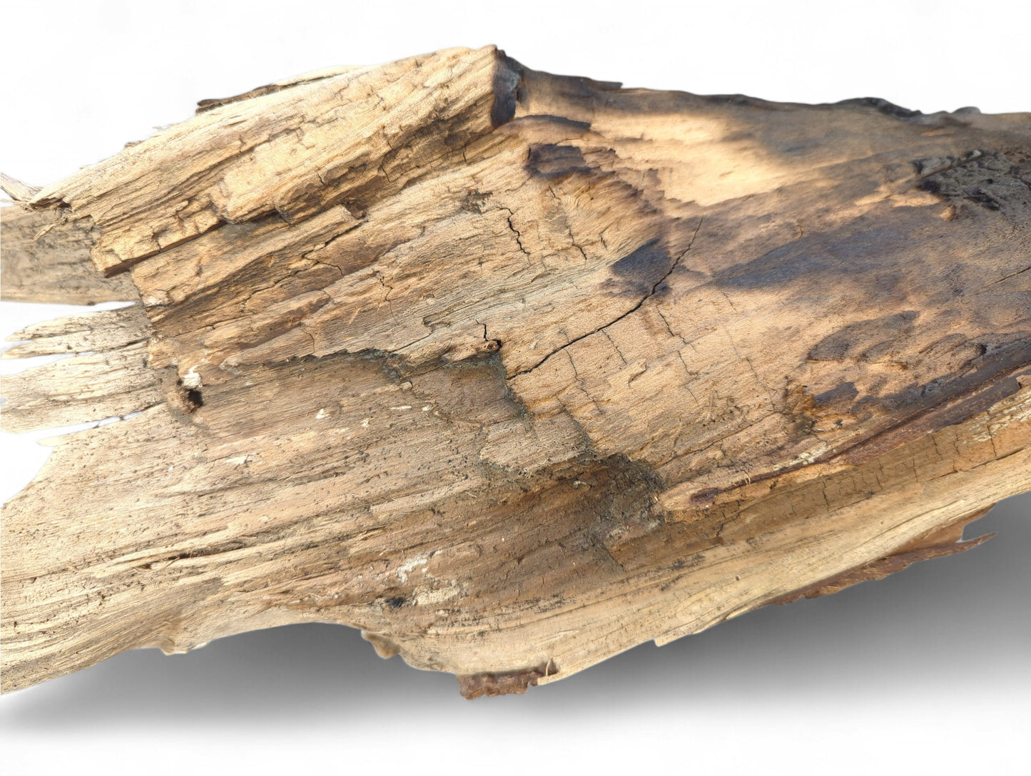 Rough, light brown weathered driftwood piece with prominent cracks and visible dark, burnt areas.