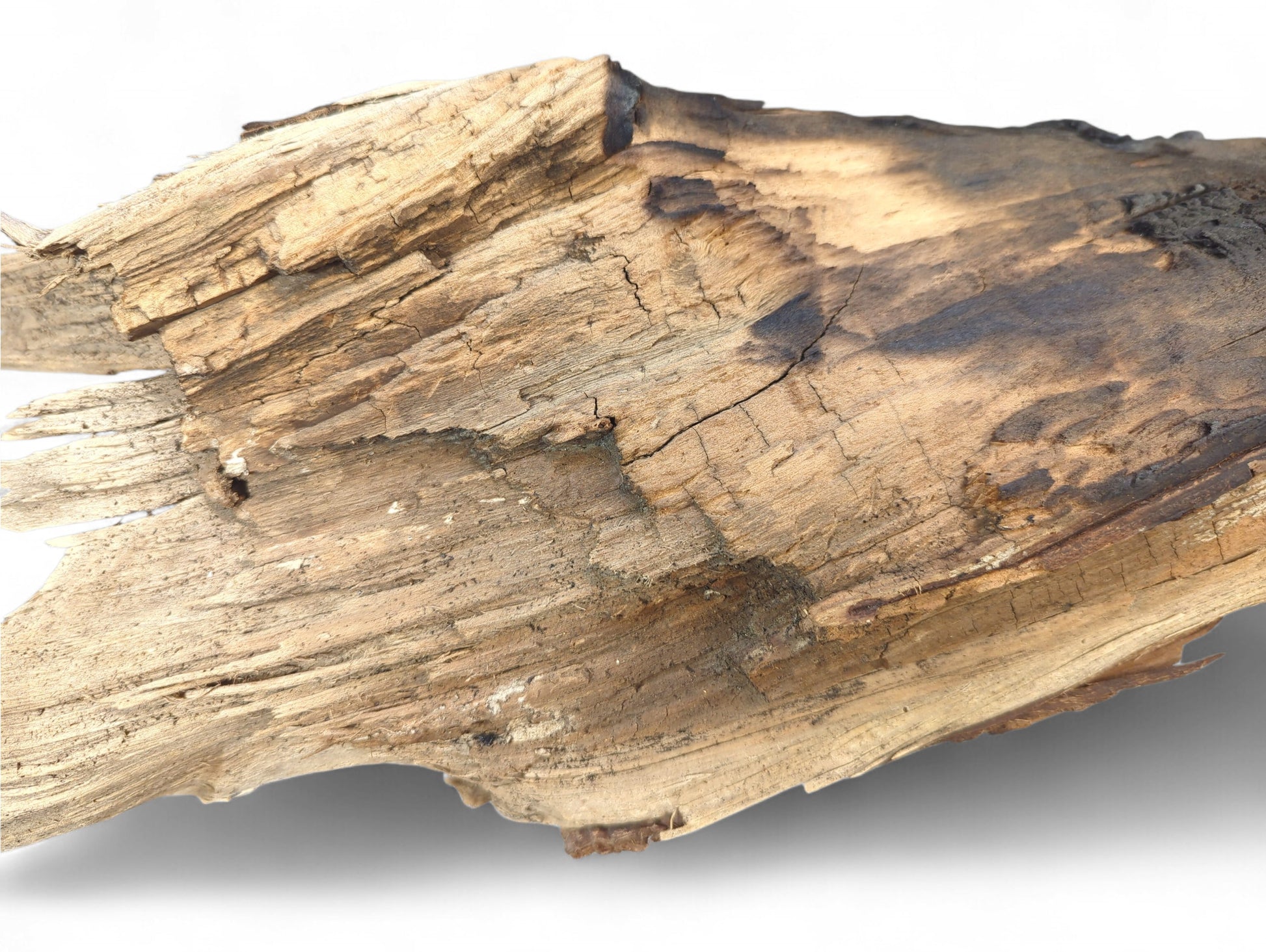 Rough, light brown weathered driftwood piece with prominent cracks and visible dark, burnt areas.