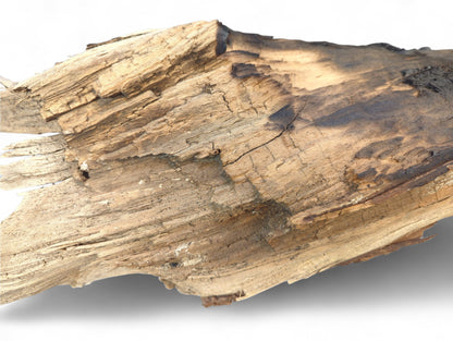 Rough, light brown weathered driftwood piece with prominent cracks and visible dark, burnt areas.