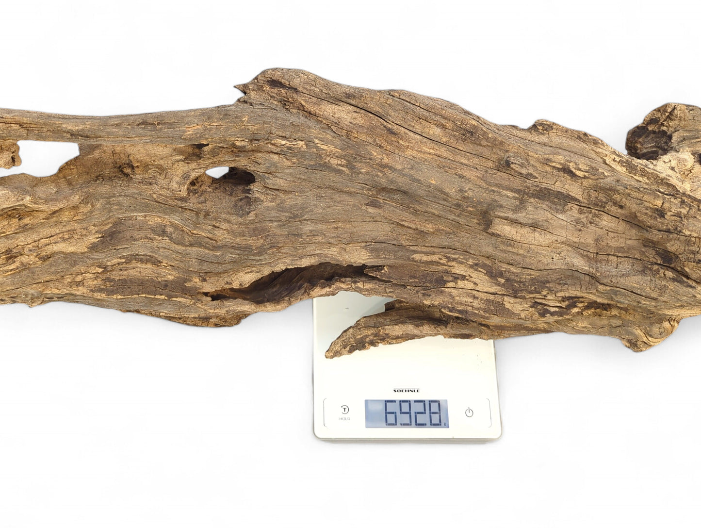 An elongated piece of gnarled, weathered driftwood, brown and gray, with holes, weighing 6928 on a white scale.